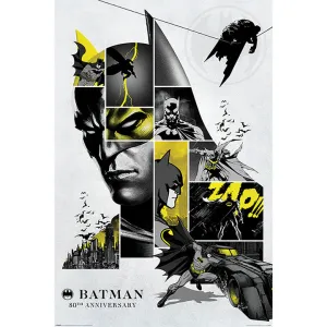 Batman (80th Anniversary) Maxi Poster