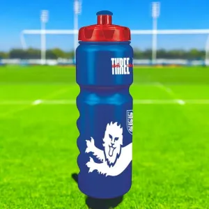 England Official 750ml Water Bottle