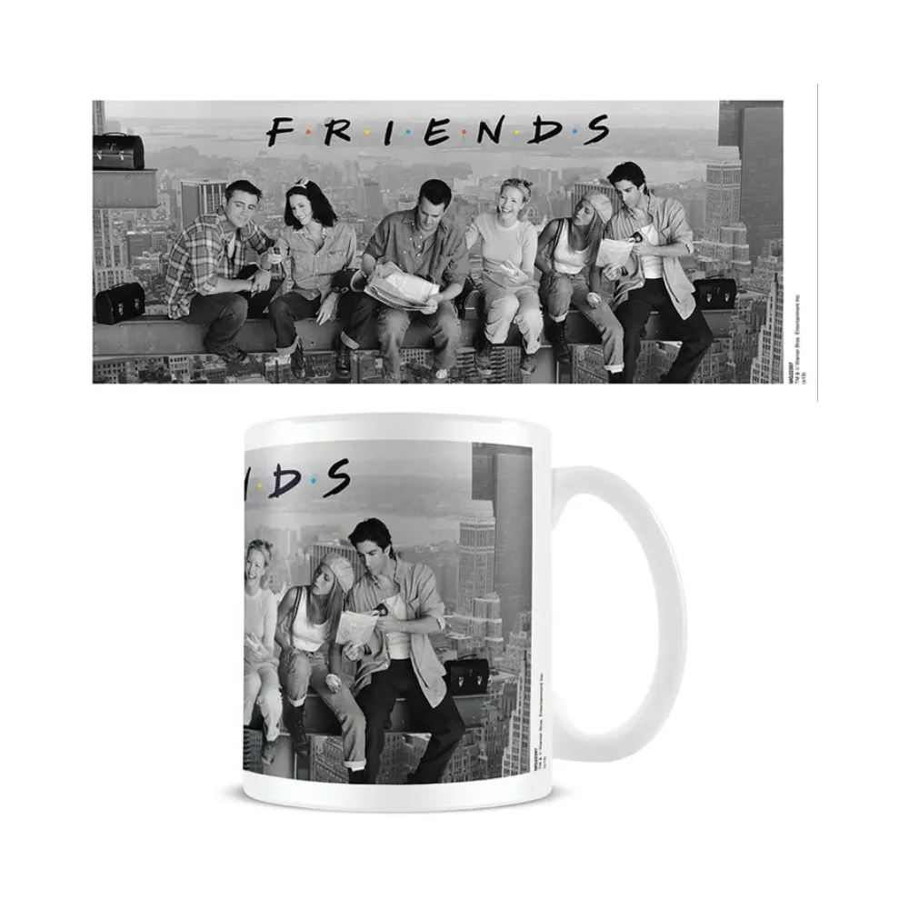 Friends Official Lunch On A Skyscraper Mug