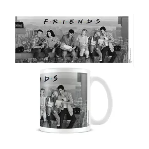 Friends Official Lunch On A Skyscraper Mug