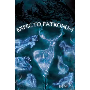Harry Potter (Patronus) Maxi