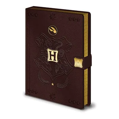 HARRY POTTER (QUIDDITCH) A5 PREMIUM NOTEBOOK